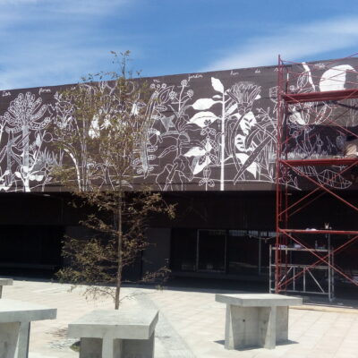 Registro proceso 3 de 5