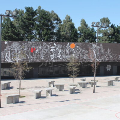 Registro obra 3 de 6
